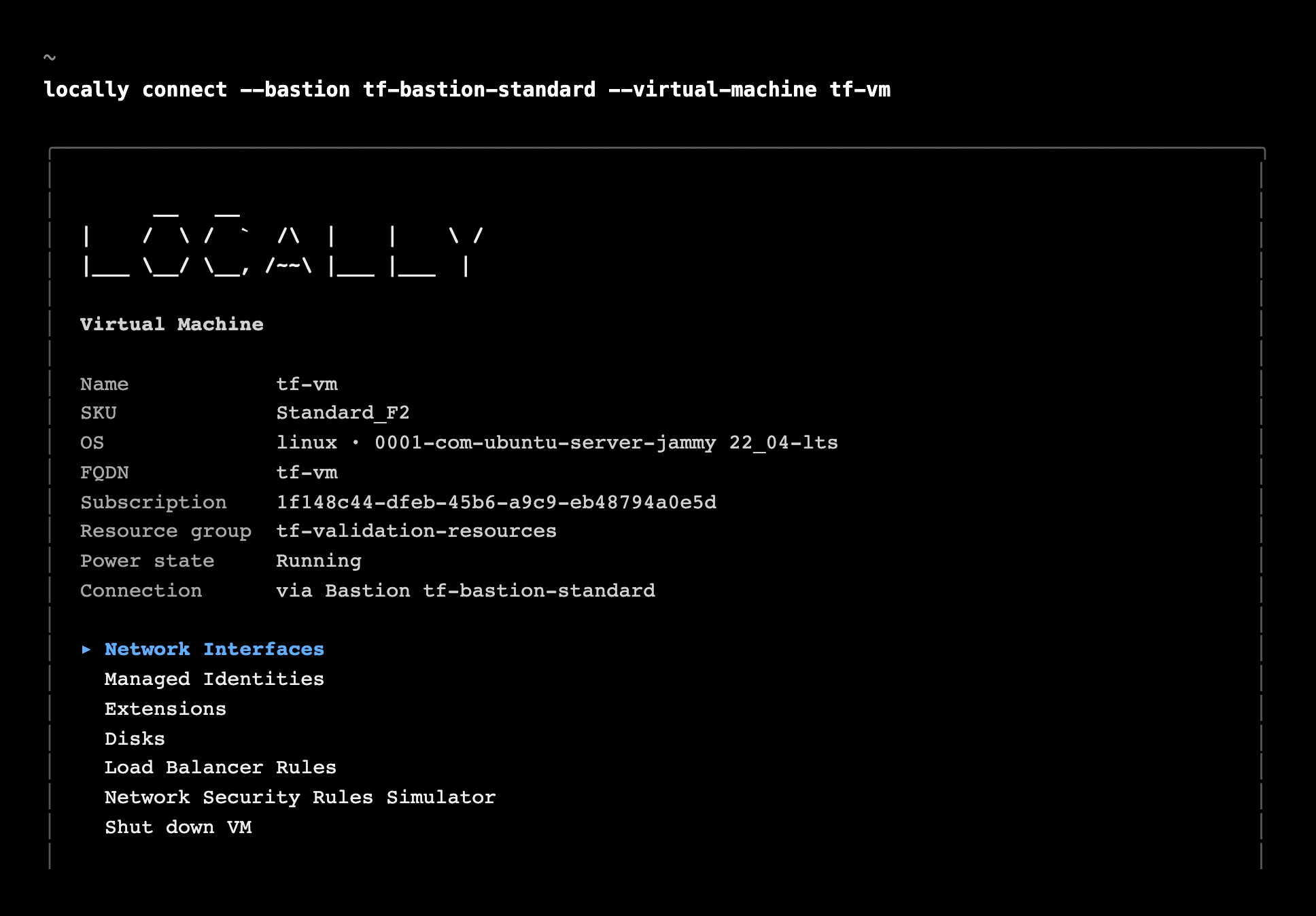 Screenshot of a terminal session opened through a Bastion in Locally, showing the Virtual Machine's details and the available views